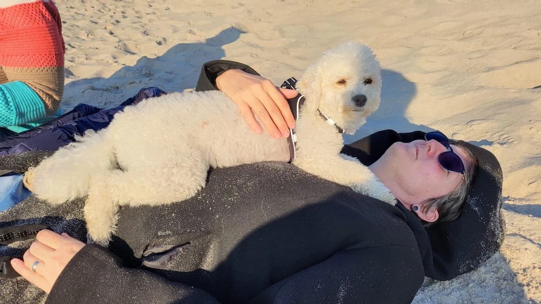 🐾 Tiergestützte Therapie mit Nelly